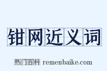 钳网近义词是什么意思的图片